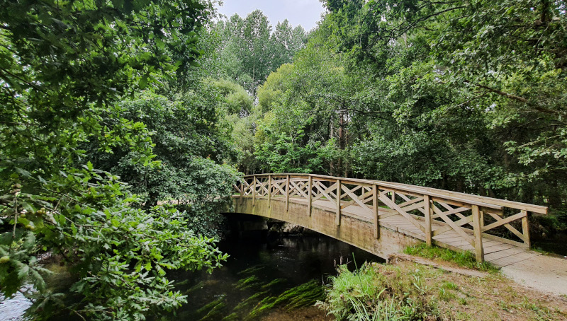 Bosque do Añón | 📷 Turismo Carballo Bosque do Añón | 📷 Turismo Carballo