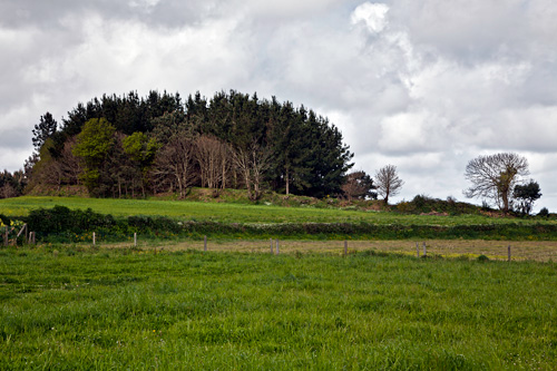 Castro de Cotomil, en Sofn