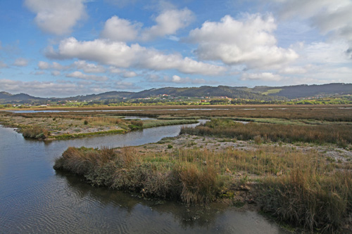 Marisma de Baldaio