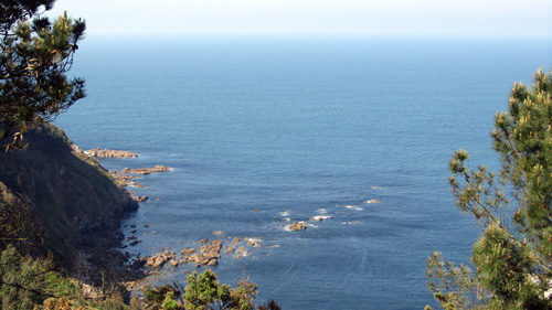 A ruta dos pinos no mar