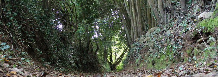 Camino centenario de la Ruta de las Cascadas