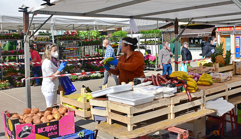 La feria ecológica ofrece los mejores productos de huerta La feria ecológica ofrece los mejores productos de huerta