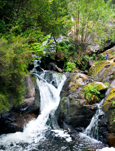 Salto de agua