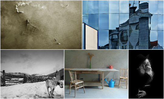 Imaxes gañadoras da edición de 2015 Imaxes gañadoras da edición de 2015